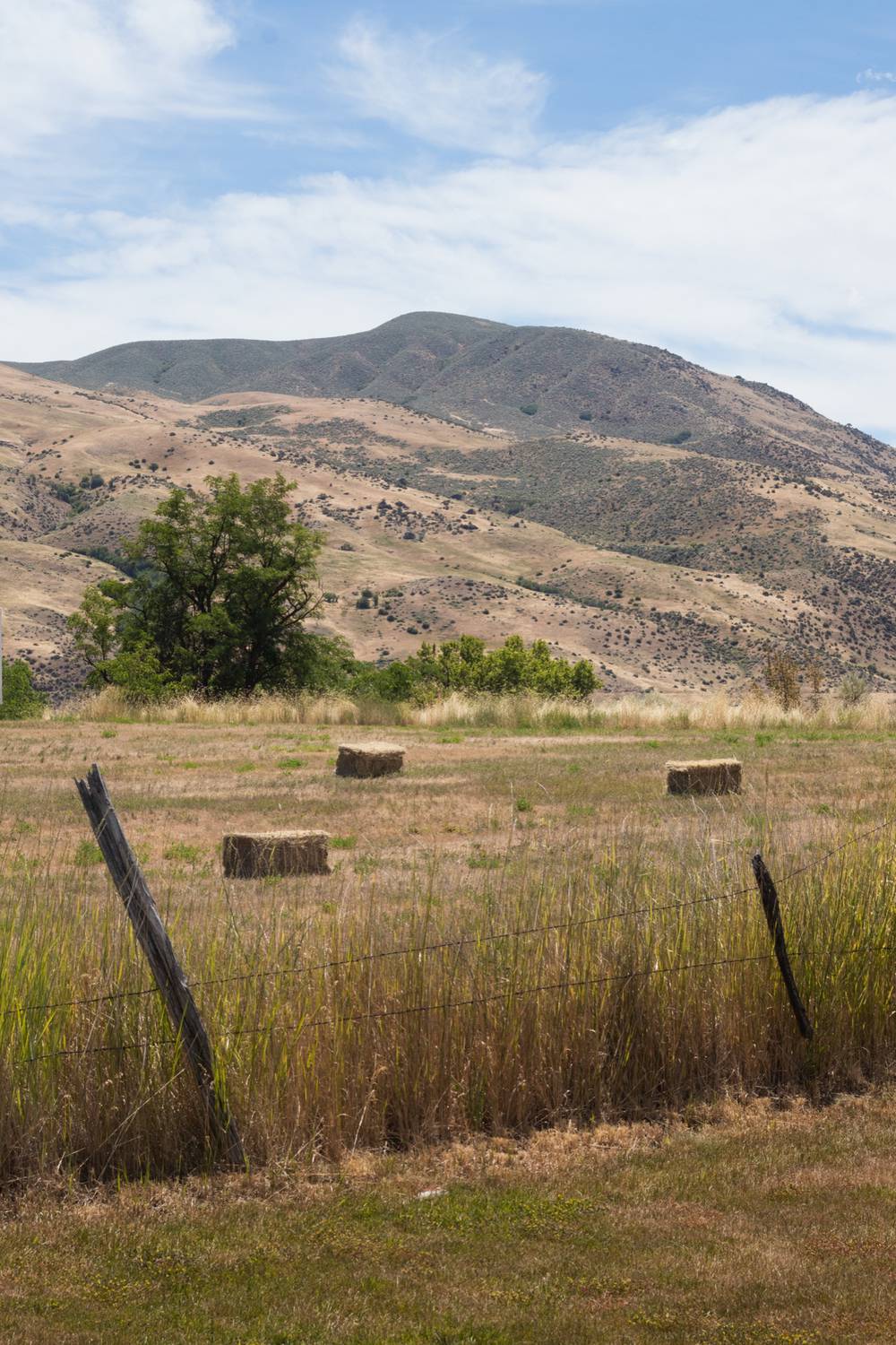 Boise