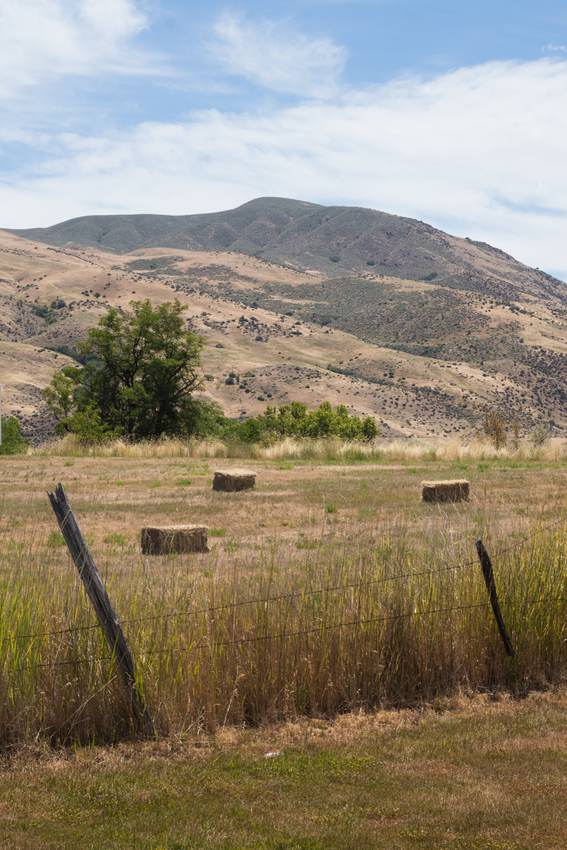 Boise — 1
