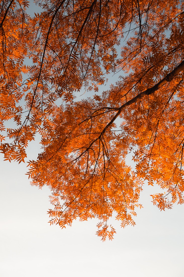 Home — 7