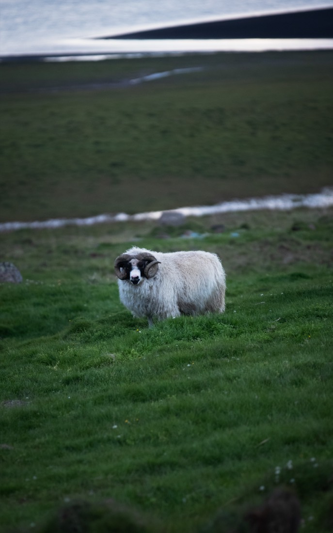 Iceland — 10