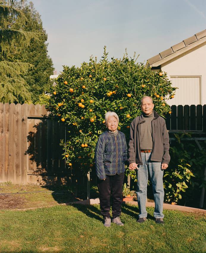 Orange Tree — 2