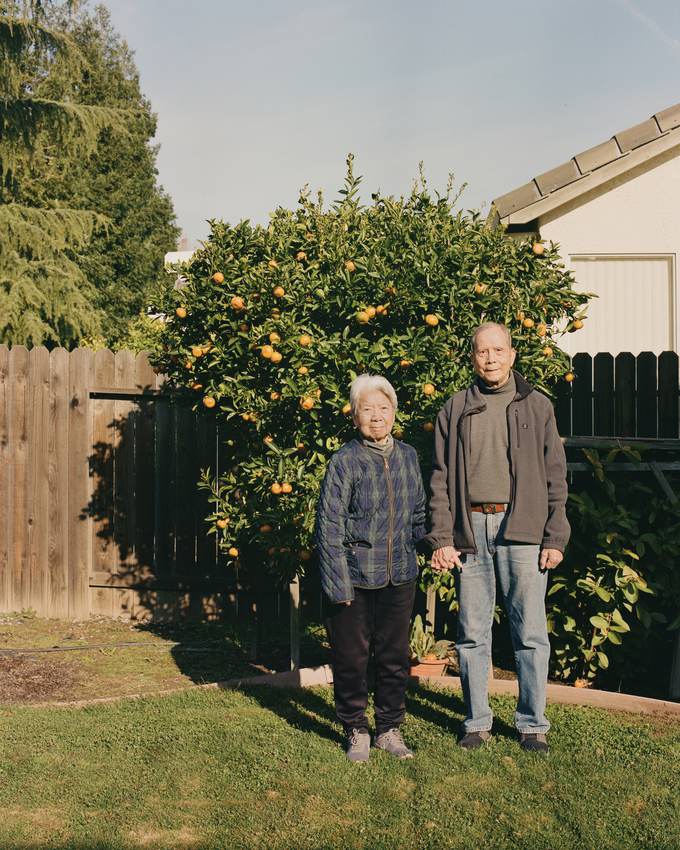 Orange Tree — 3