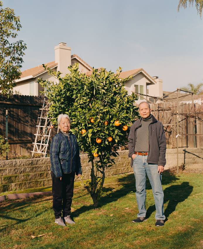 Orange Tree — 4