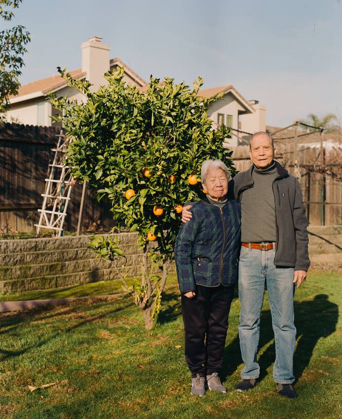 Orange Tree — cover