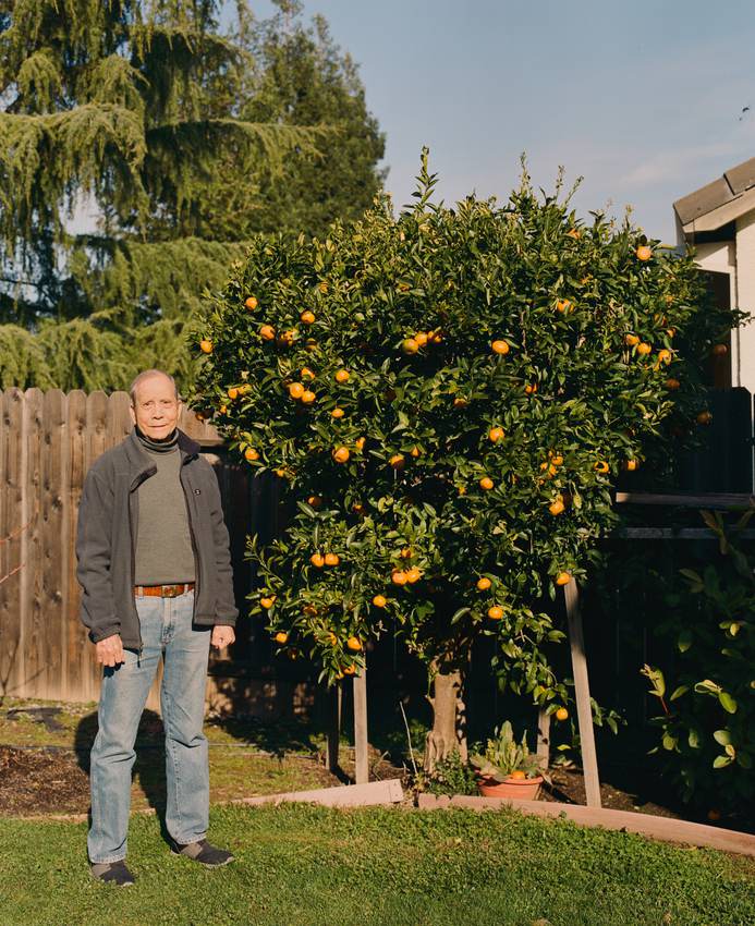 Orange Tree — 6