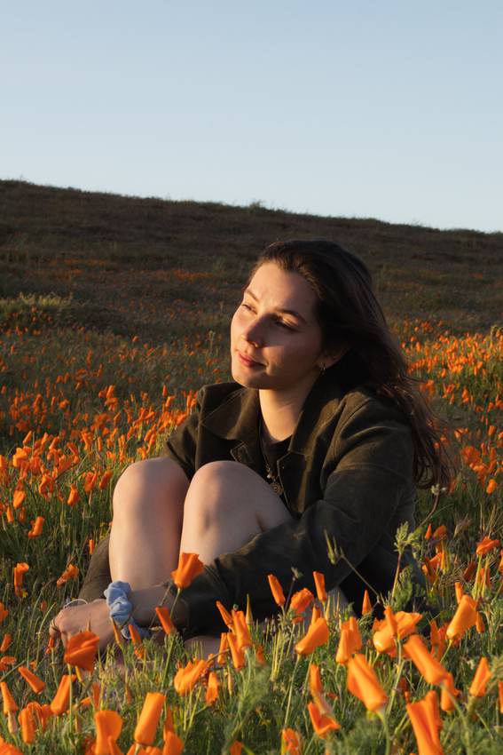 Poppies — 4
