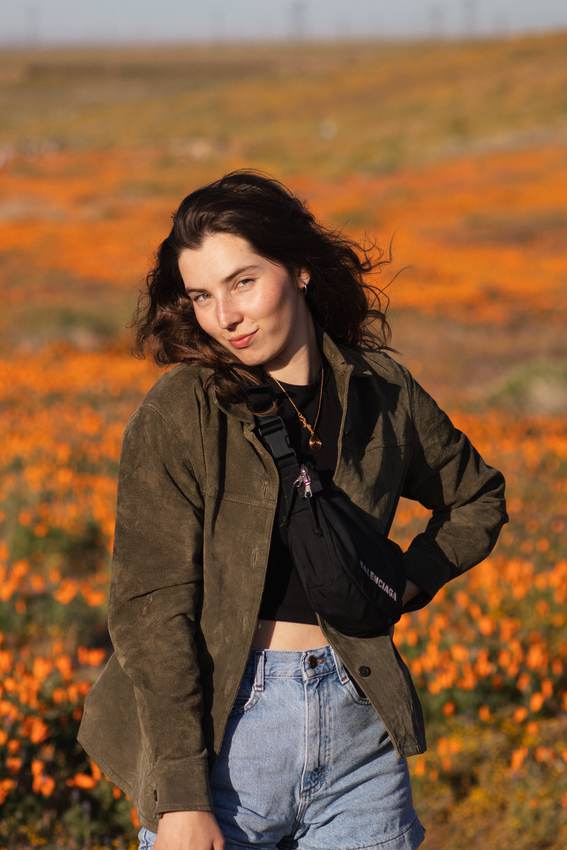 Poppies — 6